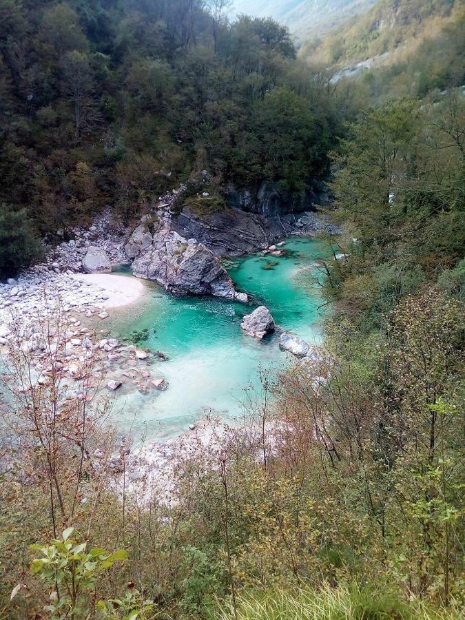 Sleeping With The Bees Kozjak コバリード エクステリア 写真